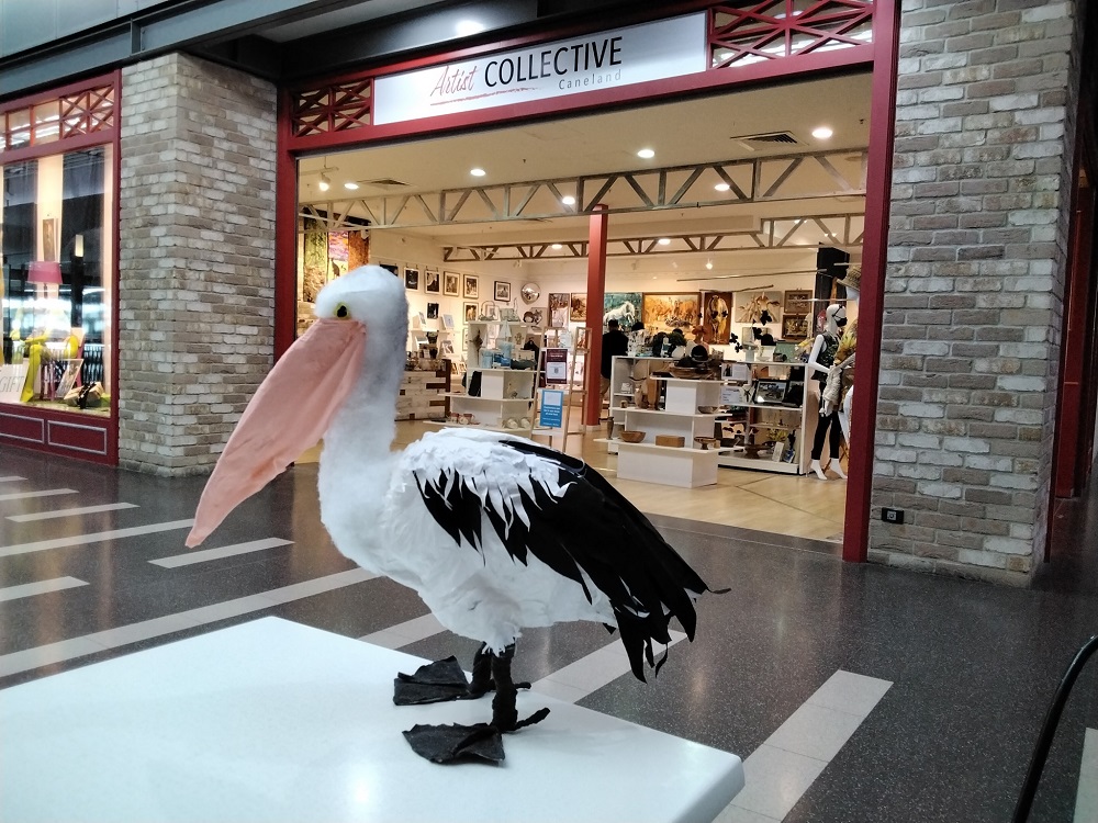 Image of a pelican